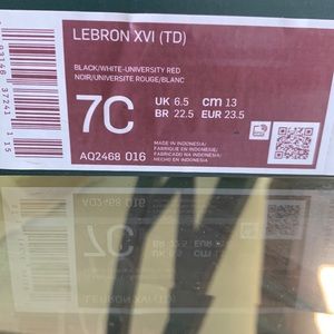 Toddler 7C Lebron XVI black